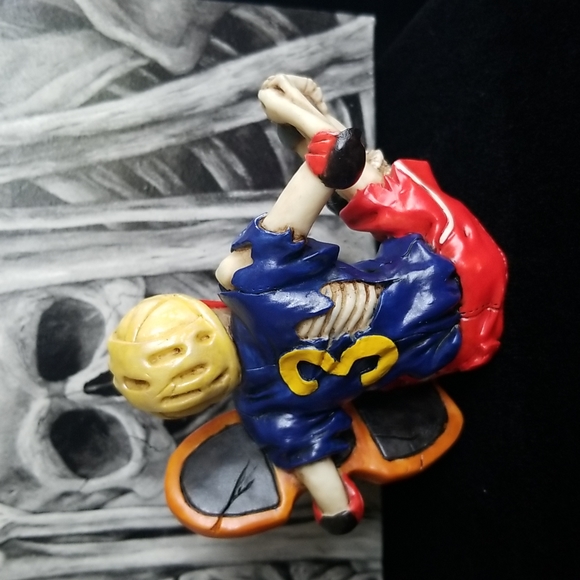 Shelf-Sitter Skeletons - Picture 4 of 12